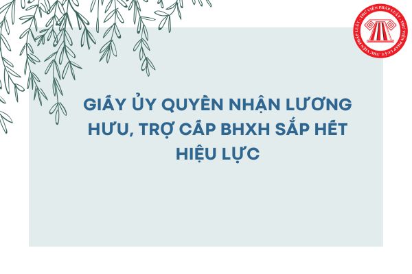 Lao Động Tiền Lương
