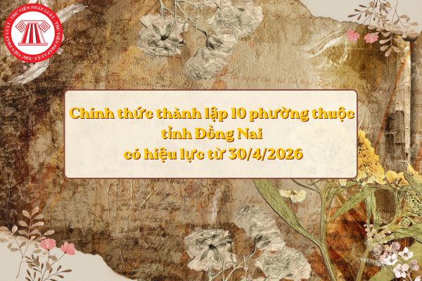Lao Động Tiền Lương