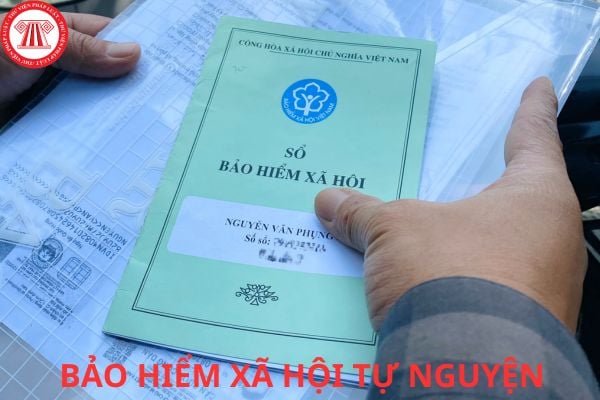 Lao Động Tiền Lương