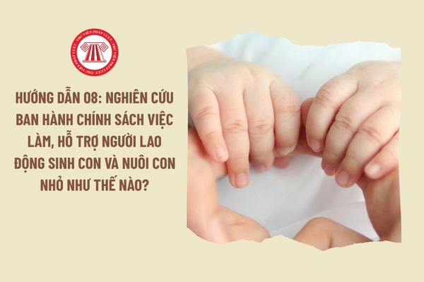 Lao Động Tiền Lương