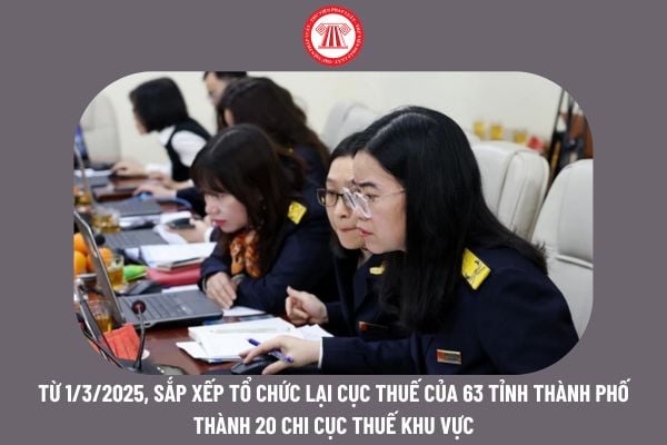 Từ 1/3/2025, sắp xếp tổ chức lại Cục thuế của 63 tỉnh thành phố thành 20 Chi cục Thuế khu vực