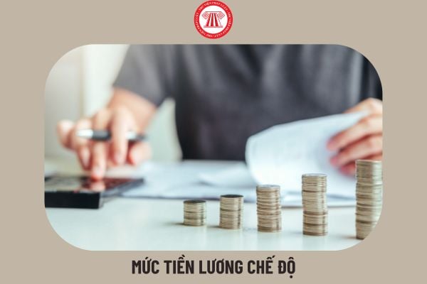 Mức tiền lương chế độ là gì? Mức tiền lương chế độ được xác định theo quỹ tiền lương trong doanh nghiệp nhà nước như thế nào?