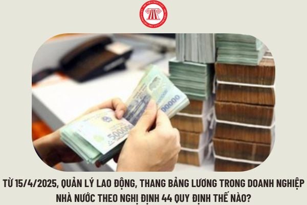 Từ 15/4/2025, quản lý lao động, thang bảng lương trong doanh nghiệp nhà nước theo Nghị định 44 quy định thế nào?