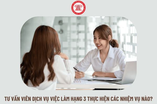 Tư vấn viên dịch vụ việc làm hạng 3 thực hiện các nhiệm vụ nào?