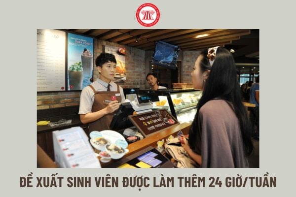 Đề xuất sinh viên được làm thêm 24 giờ/tuần, cụ thể ra sao?