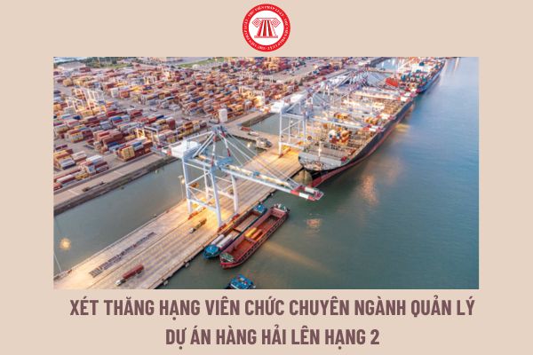 Tiêu chuẩn xét thăng hạng viên chức chuyên ngành quản lý dự án hàng hải lên hạng 2 từ 15/7