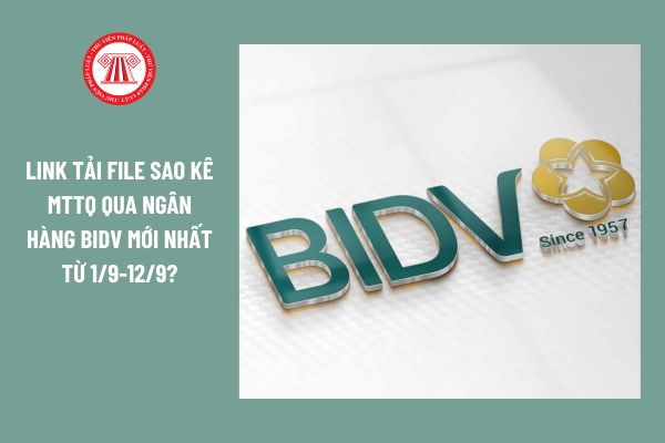 Link tải File sao kê MTTQ Việt Nam qua ngân hàng BIDV mới nhất từ 1/9-12/9?