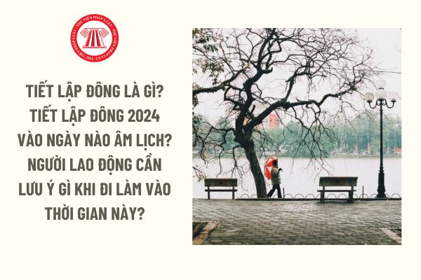 Tiết Lập đông là gì? Tiết Lập đông 2024 vào ngày nào âm lịch? Người lao động cần lưu ý gì khi đi làm vào thời gian này?