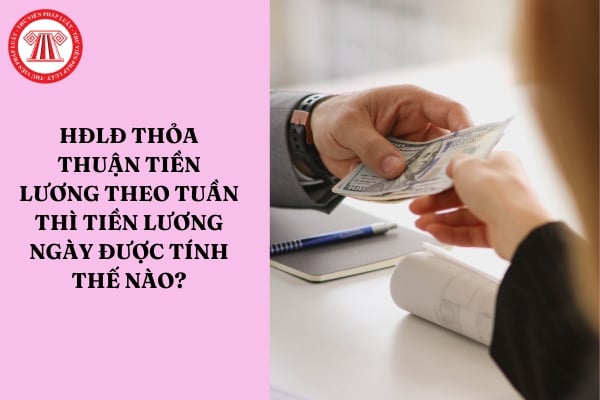 Hợp đồng lao động thỏa thuận tiền lương theo tuần thì tiền lương ngày được tính như thế nào?