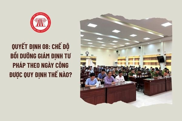 Lao Động Tiền Lương