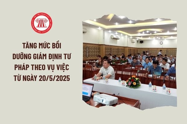 Lao Động Tiền Lương