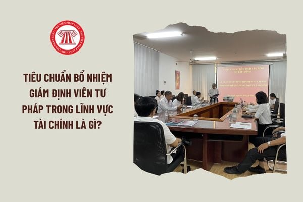 Lao Động Tiền Lương