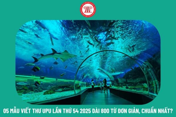 05 mẫu viết thư UPU lần thứ 54 năm 2025 dài 800 từ đơn giản, chuẩn nhất? Giáo viên chủ nhiệm phải nắm vững học sinh trong lớp về những mặt nào?