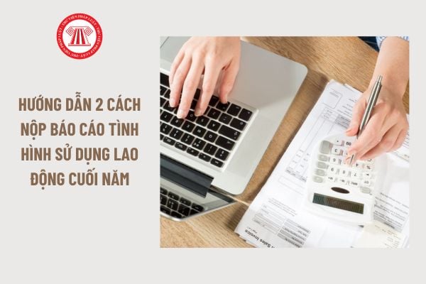 Hướng dẫn 2 cách nộp báo cáo tình hình sử dụng lao động cuối năm 2024 như thế nào?