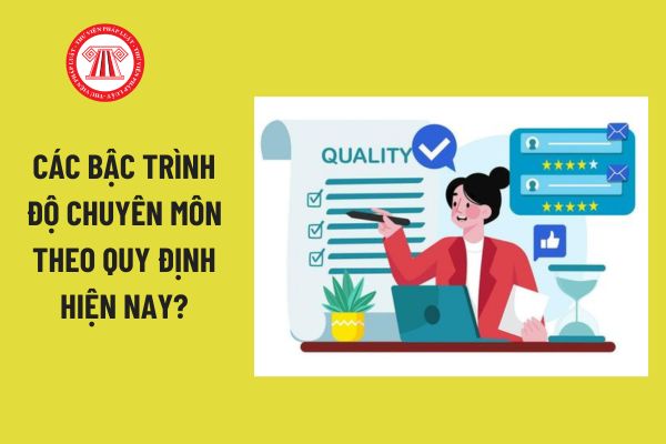 Các bậc trình độ chuyên môn theo quy định hiện nay? Kế toán trưởng cần có trình độ chuyên môn ra sao?