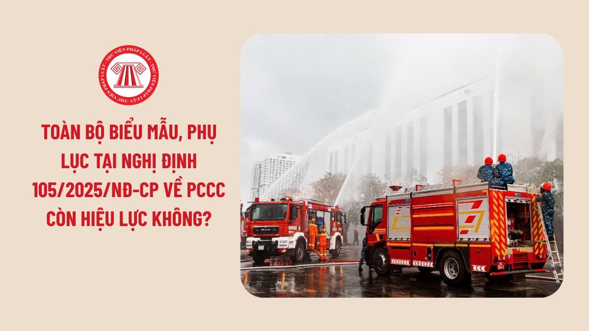 Lao Động Tiền Lương