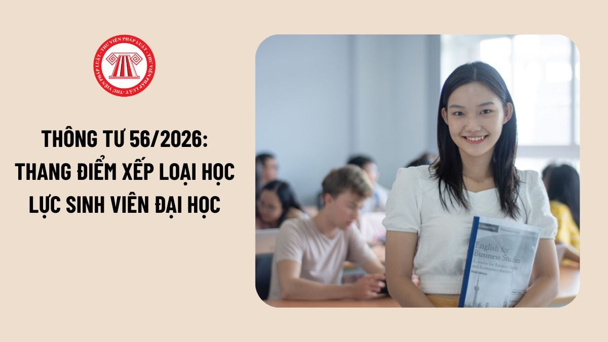 Lao Động Tiền Lương