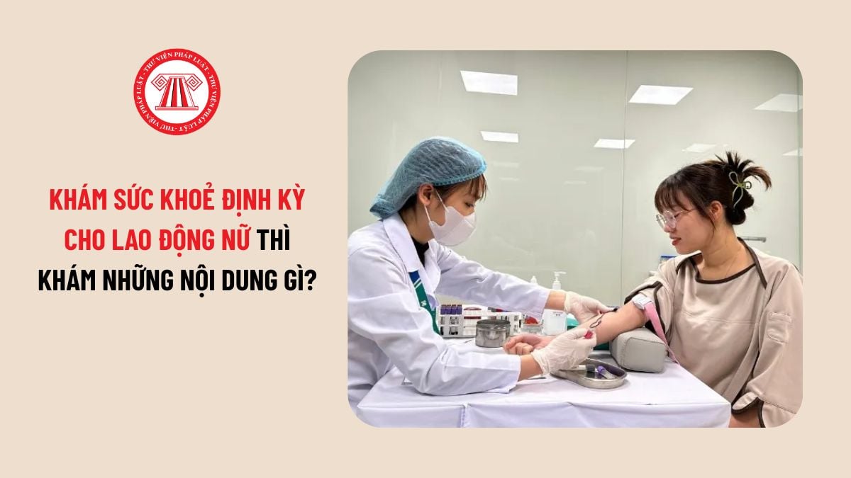 Lao Động Tiền Lương