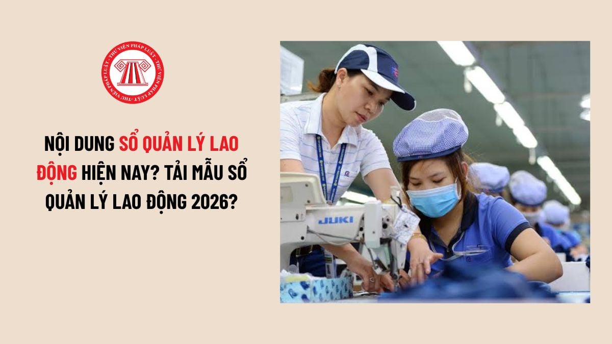Lao Động Tiền Lương