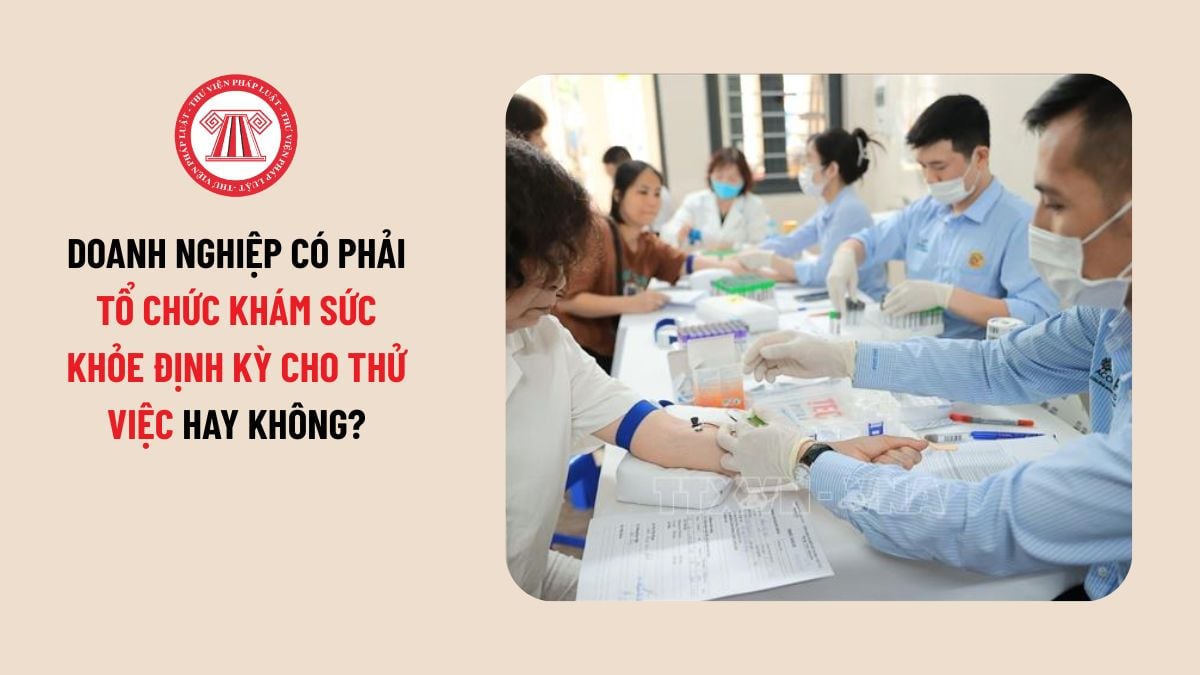Lao Động Tiền Lương