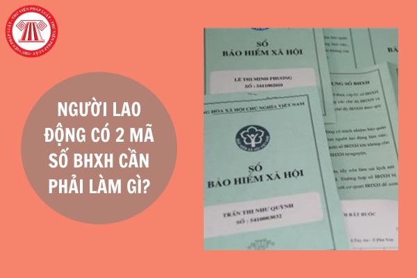 Người lao động có 2 mã số bảo hiểm xã hội cần phải làm gì?