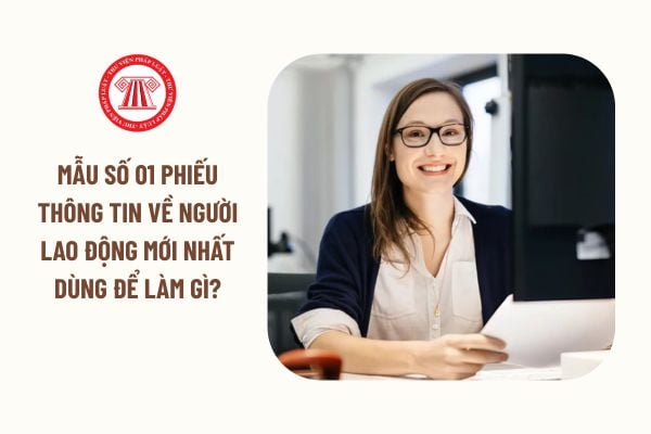 Lao Động Tiền Lương