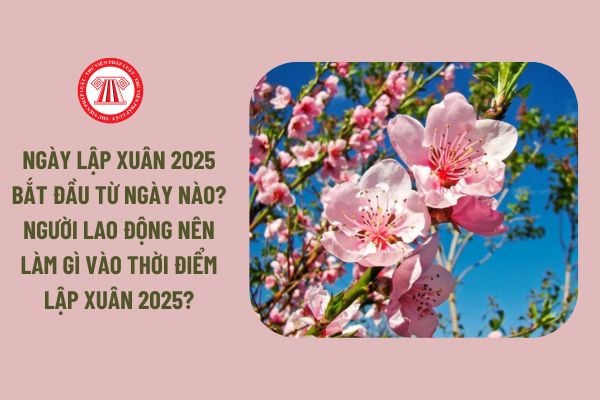 Ngày Lập Xuân 2025 bắt đầu lúc mấy giờ, từ ngày nào? Người lao động nên làm gì vào thời điểm Lập Xuân 2025?