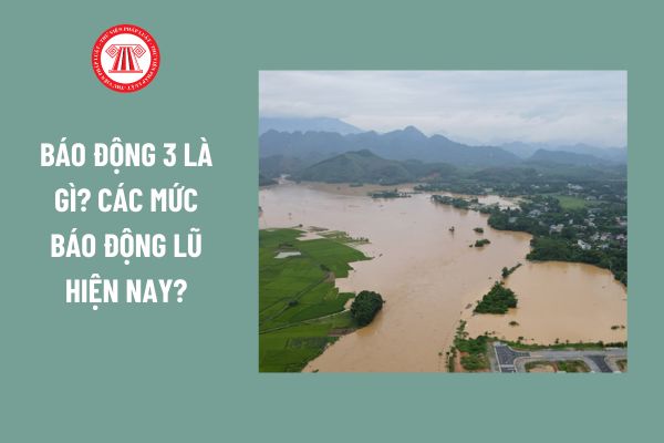 Báo động 3 là gì? Các mức báo động lũ hiện nay? Người lao động đóng Quỹ phòng chống thiên tai khi nào?