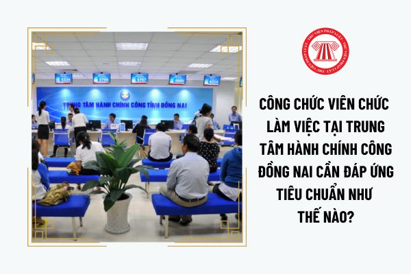 Công chức viên chức làm việc tại Trung tâm hành chính công Đồng Nai cần đáp ứng tiêu chuẩn như thế nào?