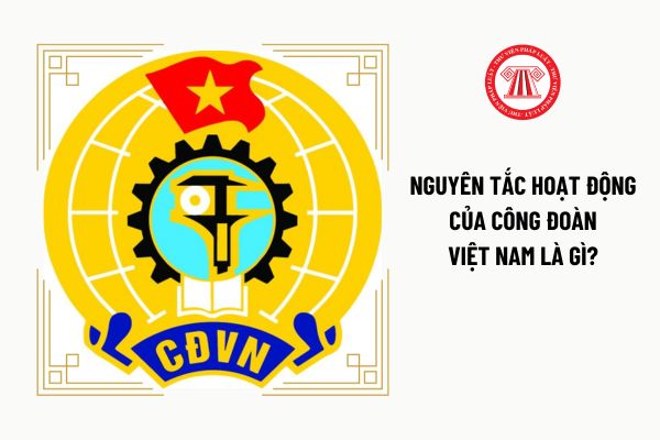 Nguyên tắc hoạt động của Công đoàn Việt Nam là gì?