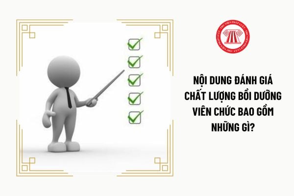 Nội dung đánh giá chất lượng bồi dưỡng viên chức bao gồm những gì?