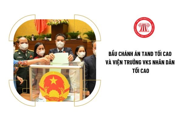 Chánh án Tòa án nhân dân tối cao và Viện trưởng Viện kiểm sát nhân dân tối cao do ai bầu ra?