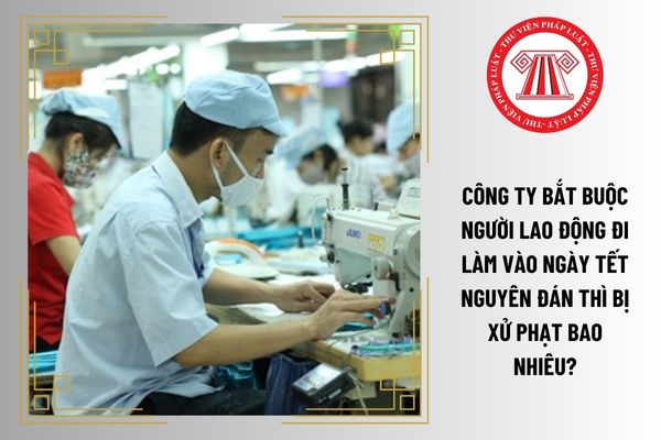 Công ty bắt buộc người lao động đi làm vào ngày Tết Nguyên đán thì bị xử phạt bao nhiêu?