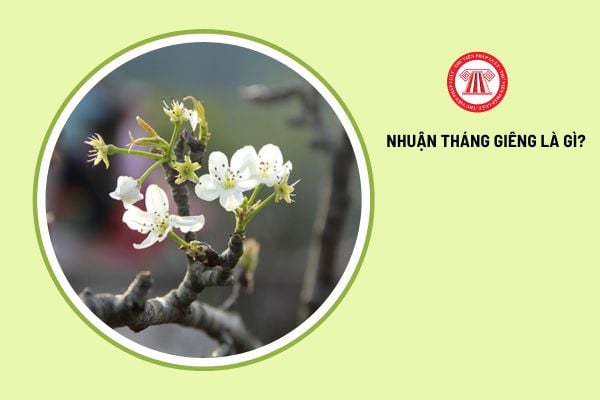 Nhuận tháng Giêng là gì? Năm 2025 có nhuận tháng Giêng không? 