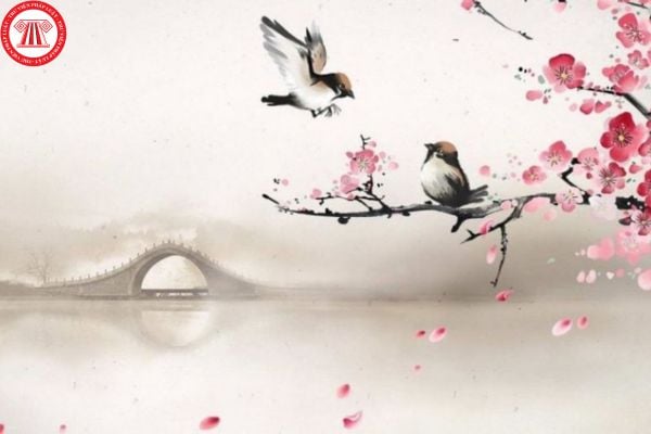 Thiên Di trong tử vi là gì? Cung Thiên Di giúp định hướng môi trường làm việc thế nào?