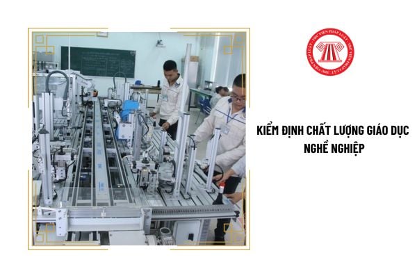 Hoạt động kiểm định chất lượng giáo dục nghề nghiệp trong trung tâm giáo dục nghề nghiệp do ai tổ chức thực hiện?