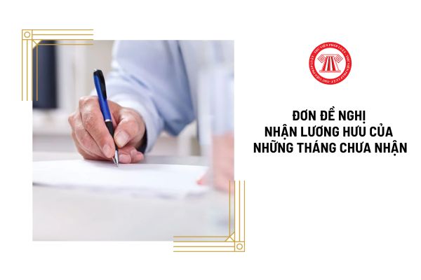 Mẫu đơn đề nghị nhận lương hưu của những tháng chưa nhận được quy định như thế nào?