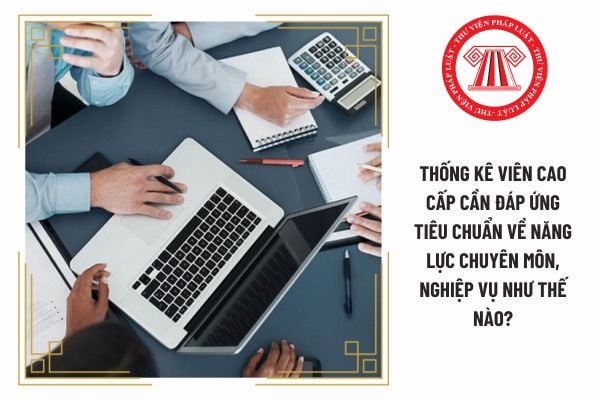 Thống kê viên cao cấp cần đáp ứng tiêu chuẩn về năng lực chuyên môn, nghiệp vụ như thế nào?