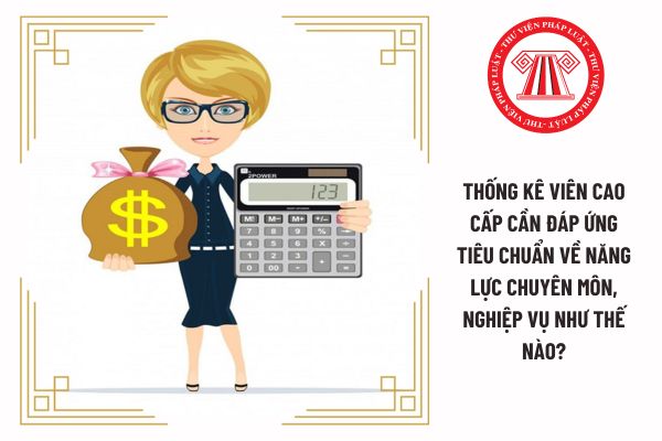 Thống kê viên chính cần đáp ứng tiêu chuẩn về năng lực chuyên môn, nghiệp vụ như thế nào?