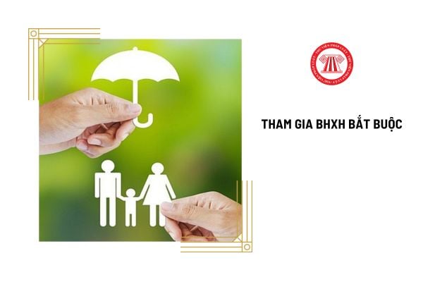 Hồ sơ đăng ký tham gia bảo hiểm xã hội bắt buộc của CBCCVC từ 1/7/2025 gồm những gì?