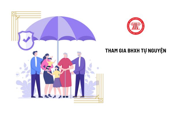 Từ 1/7/2025, tham gia bảo hiểm xã hội tự nguyện được hưởng những chế độ gì?