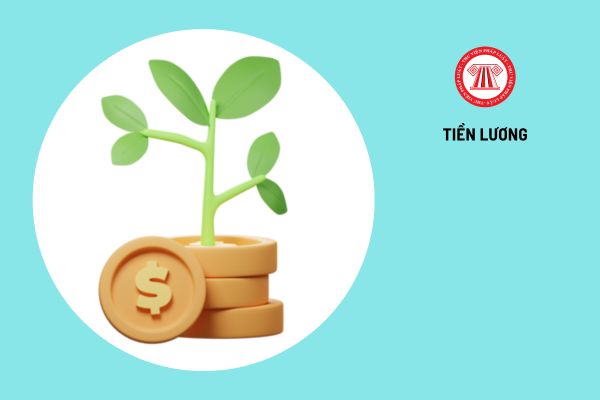 Lao Động Tiền Lương