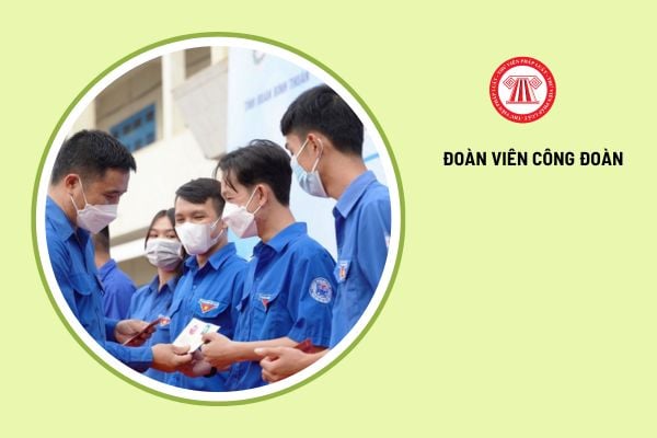 Công tác quản lý đoàn viên công đoàn được quy định như thế nào?