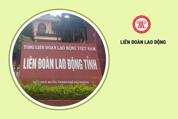 Liên đoàn lao động cấp tỉnh được tổ chức như thế nào?