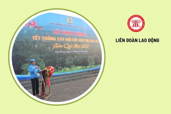 Liên đoàn lao động cấp tỉnh có thẩm quyền quyết định thành lập và chỉ đạo các cơ quan đơn vị nào?