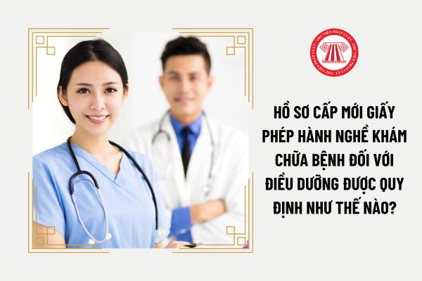 Hồ sơ cấp mới giấy phép hành nghề khám chữa bệnh đối với điều dưỡng được quy định như thế nào?