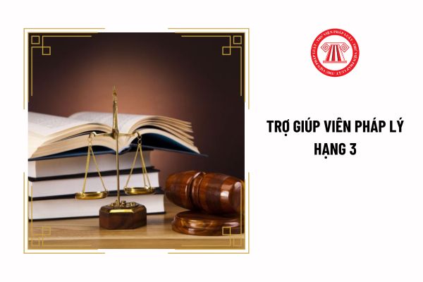 Trợ giúp viên pháp lý hạng 3 cần đáp ứng tiêu chuẩn về năng lực chuyên môn nghiệp vụ ra sao?