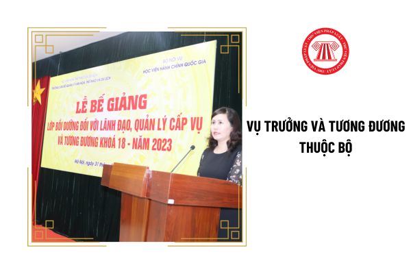 Vụ trưởng và tương đương thuộc Bộ phải có bằng tốt nghiệp gì?