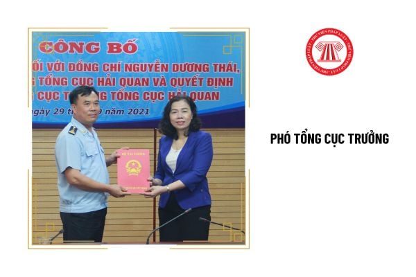 Phó Tổng cục trưởng có trình độ về quản lý nhà nước thế nào?