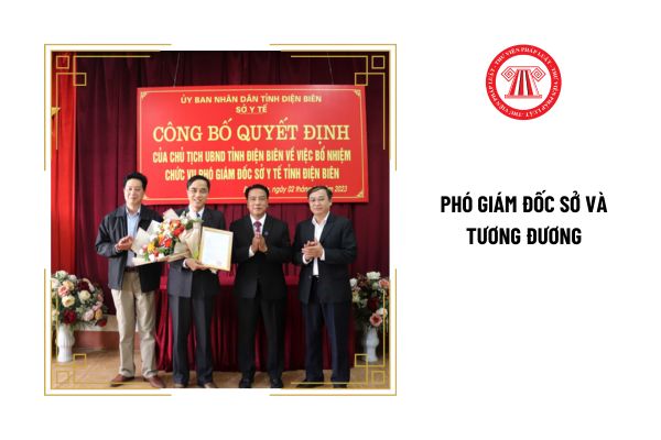 Phó Giám đốc Sở và tương đương phải có năng lực như thế nào?